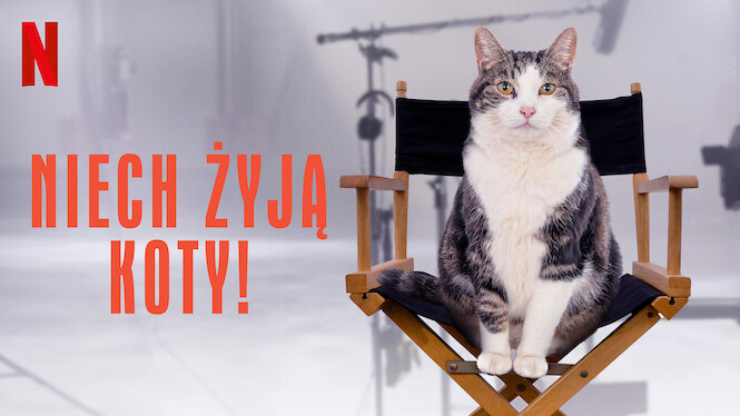 Niech żyją koty!