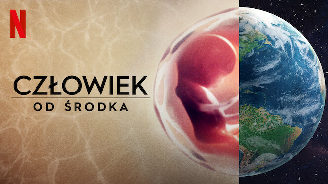 Człowiek od środka