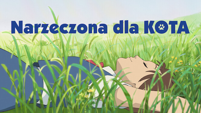 Narzeczona dla kota