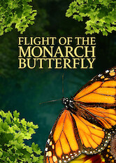 Flight of the Monarch Butterfly 3D