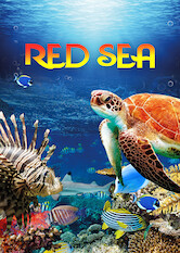 Red Sea