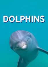 Dolphins