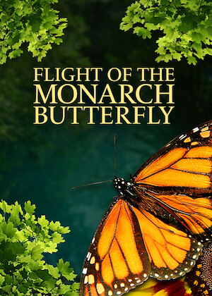 Flight Of The Monarch Butterfly