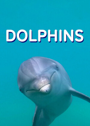 Dolphins