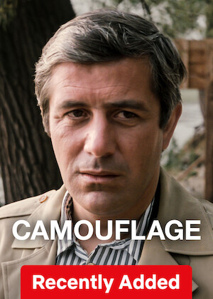 Camouflage poster